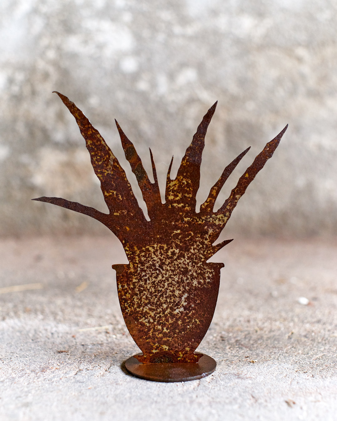 Aloe con vaso